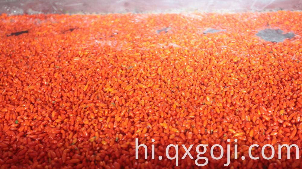 Red Organic Goji Berry